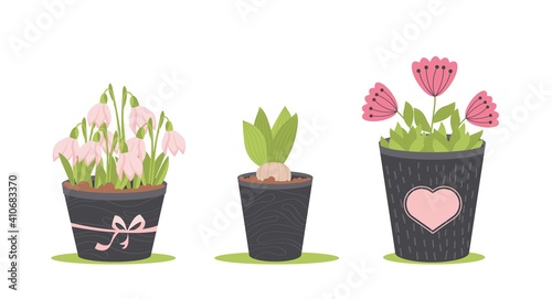 Spring Flowers In Pots  Isolated On White Background  Vector Illustration
