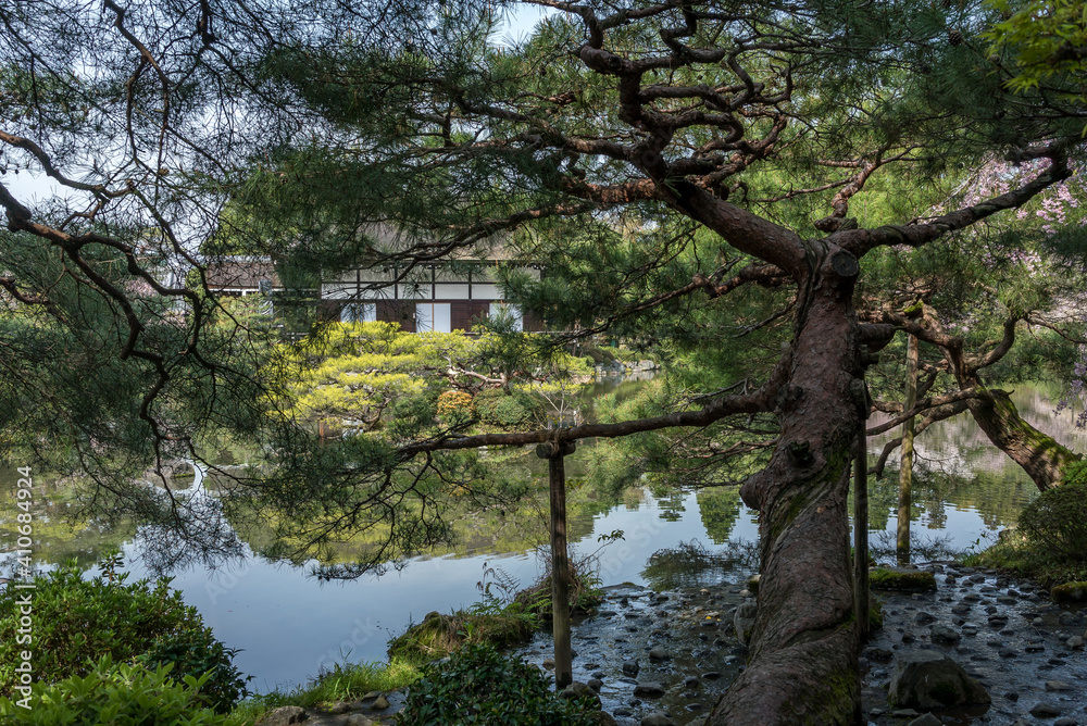 Promenade dans un jardin japonais