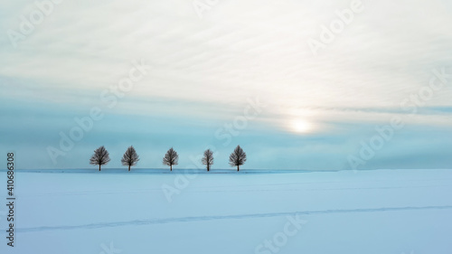 Stunning panorama of snowy snow landscape in winter in Black Forest - winter wonderland, beautiful silhouette of trees and dusty blue sky with sunshine