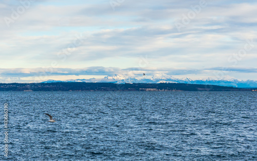 Port Townsend Mountain Landscape 2