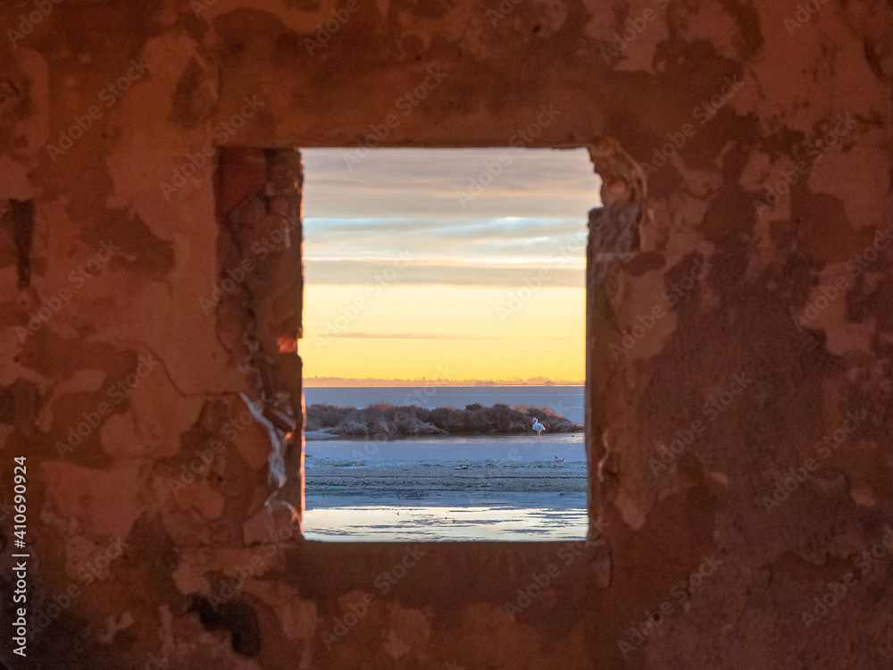 Vue d'un étang de la Camargue, réserve naturelle protégée depuis une fenêtre d'une cabane de pêcheur. Sud de la France.	