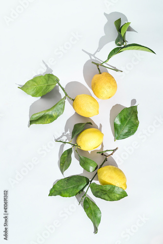 Ripe fresh Sicilian lemons with green leaves on white background.  Organic citrus fruits with bright sunlight. Healthy food concept