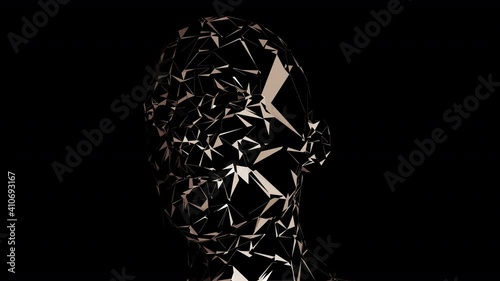 Digitalization Concept: Stylish Abstract Face. Visualization of Drawing a Human Head with Polygons. All at Once. Computer Technology Merge with Humanity. Alpha Channel Only in 4k with ProRes Codec