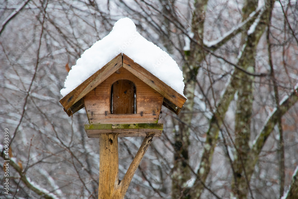 Snow-covered wooden bird feeder in the woods. Winter time. Bird food.