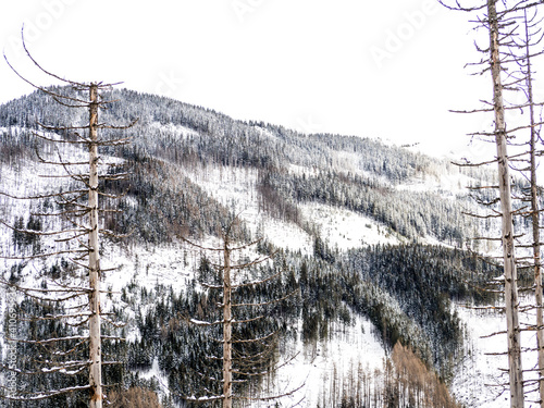 Fototapeta Naklejka Na Ścianę i Meble -  Tatry zimą