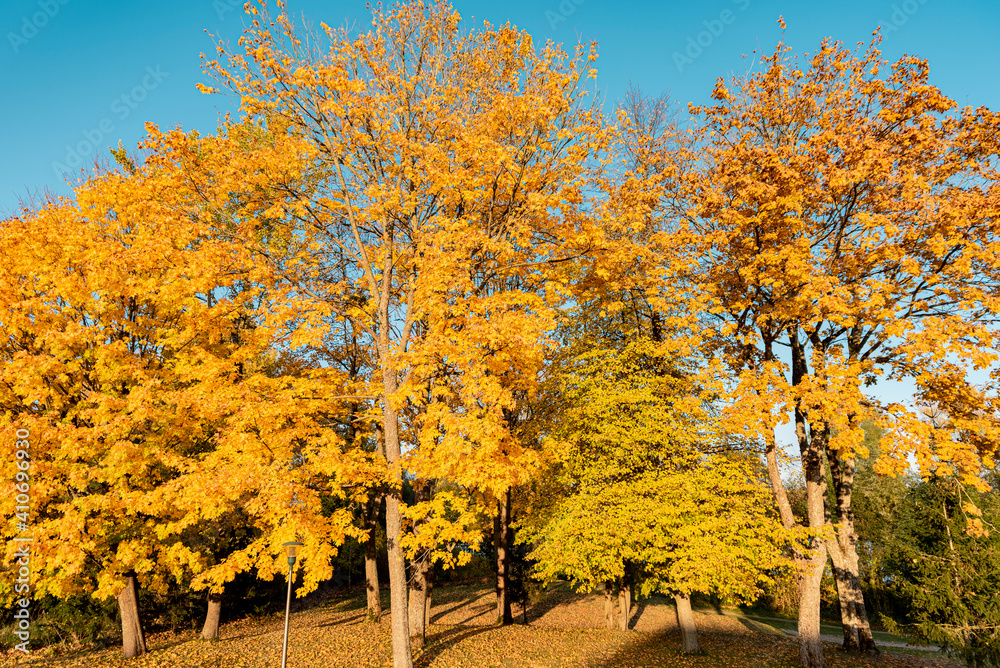 Naklejka premium JESIEŃ