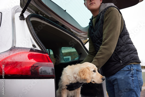 Male Criminal Stealing Or Dognapping Puppy And Putting Them In Car photo