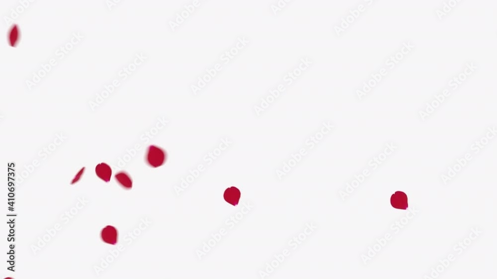 The surface, strewn with red rose petals, opens up when the wind blows the petals away. Alpha channel video. You can add a layer with text. The surface, strewn with red rose petals, opens up when the wind blows the petals away. Alpha channel video. You can add a layer with text.