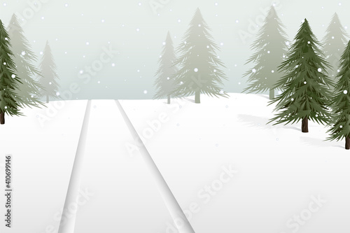 A snowy field of trees with tire tracks
