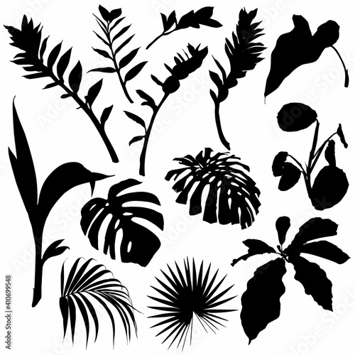 Set of palm leaves and tropical plants silhouettes. Black summertime poster. Collection of scrapbooking elements for beach party with exotic plants.