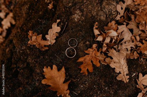 two engagement gold wedding rings lie on a stone overgrown with moss among orange dried fallen oak leaves from trees