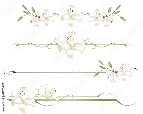 A variety of lily divider lines
