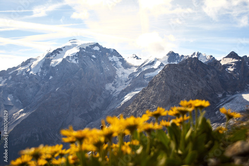 Blick auf den Ortler