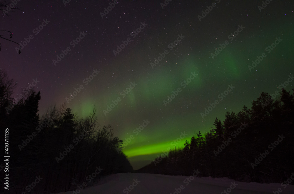 Northern lights over the forest. Polar light 
