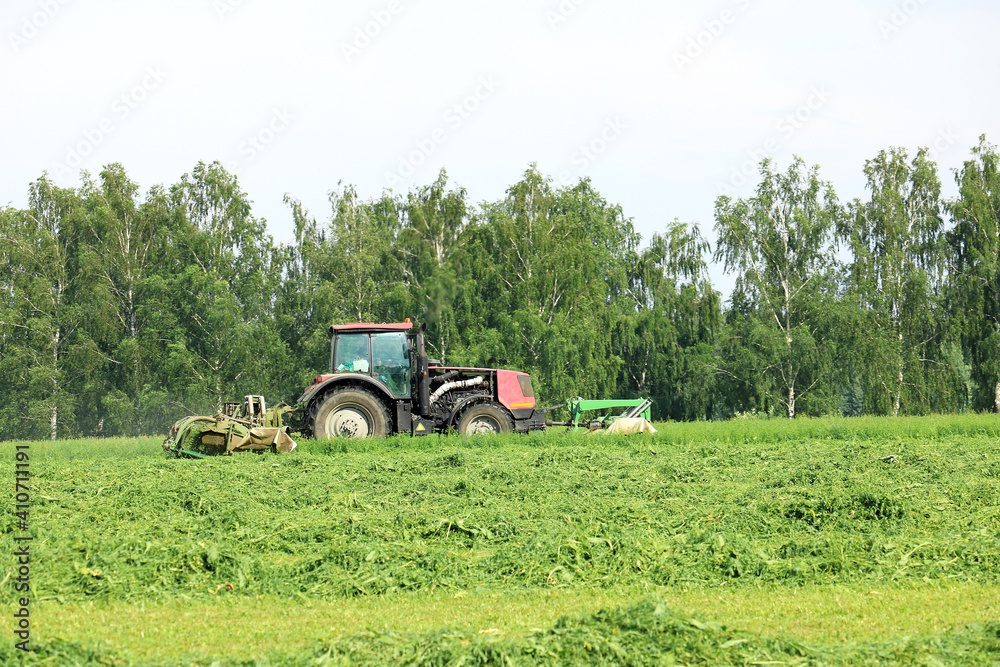 Fototapeta premium tractor mows green grass