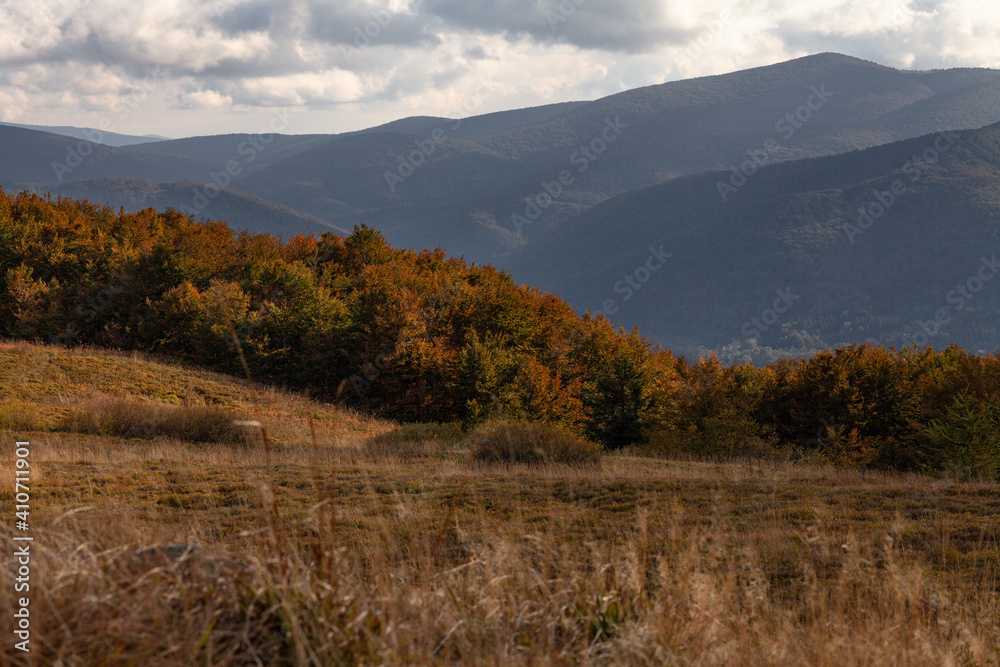 Jesienny krajobraz górskich szczytów wraz z kolorowym lasem na pierwszym planie, Bieszczady, Polska