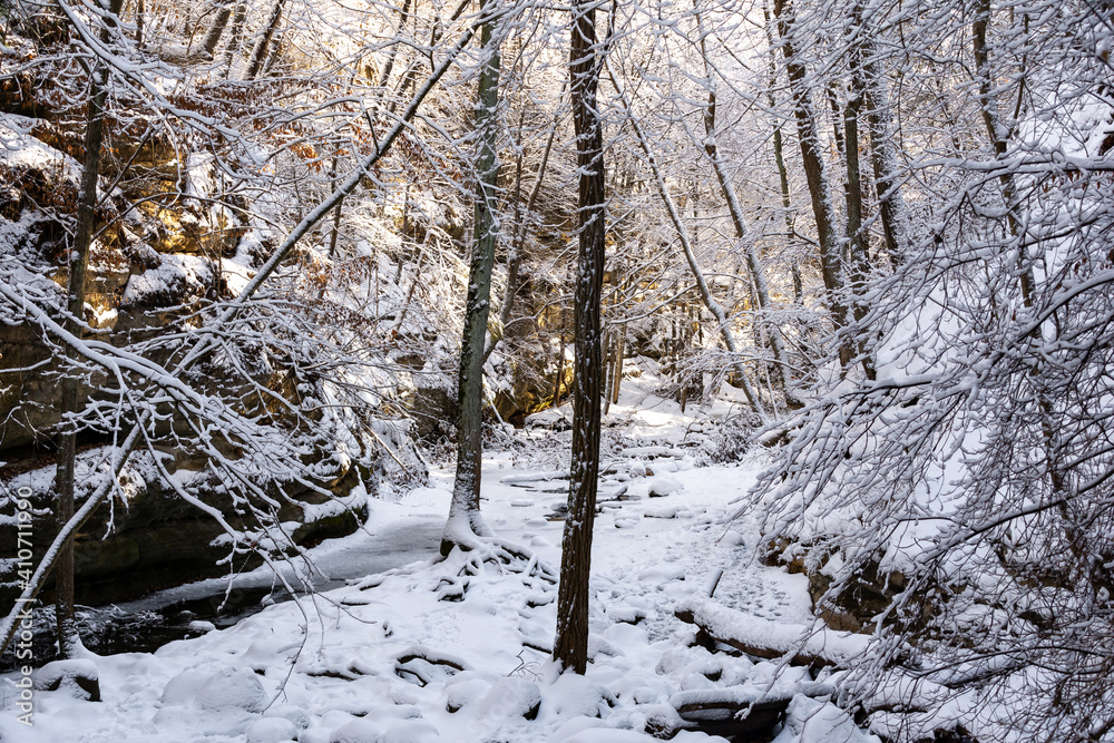 Early morning light shining on the snow covered trails. Matthiessen state park, Illinois, USA. Early morning light shining on the snow covered trails. Matthiessen state park, Illinois, USA.