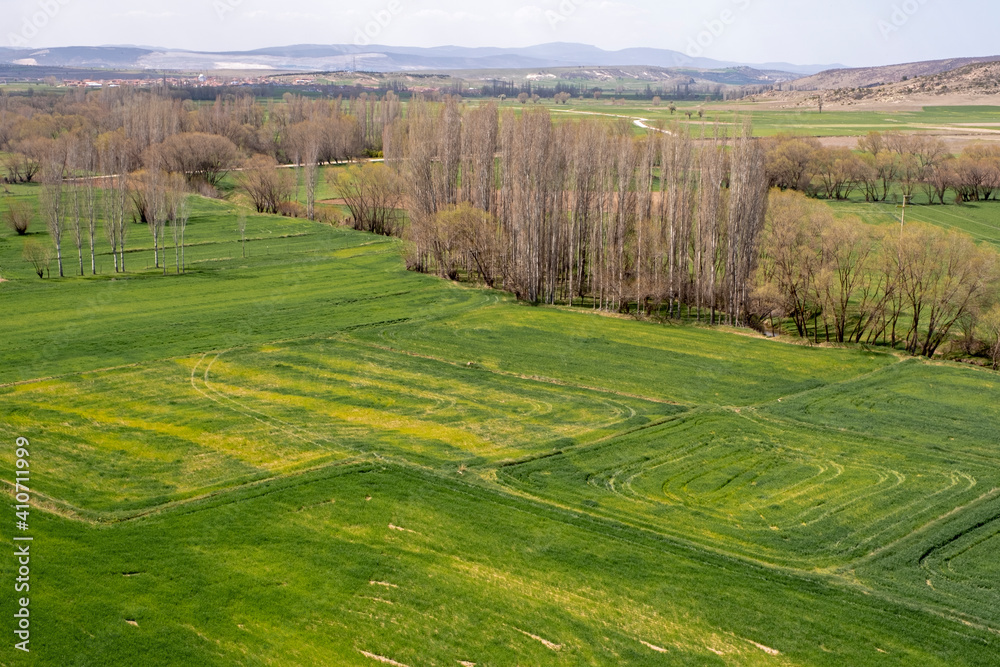 Obraz premium Agricultural field view