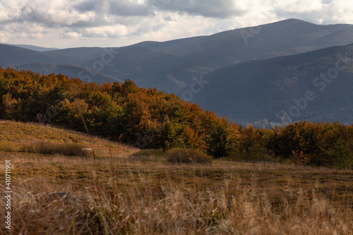 Jesienny krajobraz górskich szczytów wraz z kolorowym lasem na pierwszym planie, Bieszczady, Polska