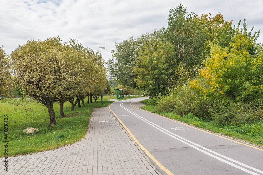 Fototapeta premium Afalted road in the forest. Cycling track.