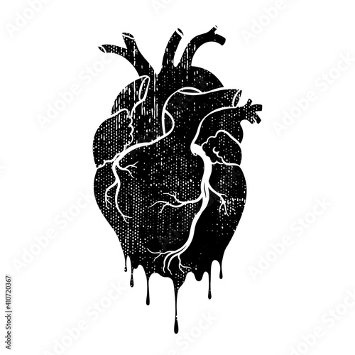 Grunge human heart. Anatomical realistic dripping heart, line art, vector illustration