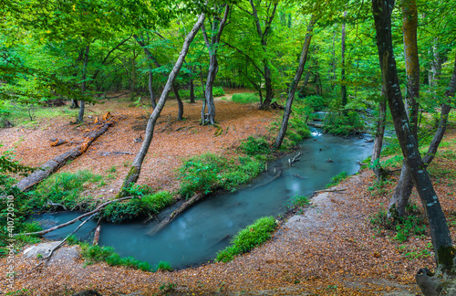 Small river in a dense fore...