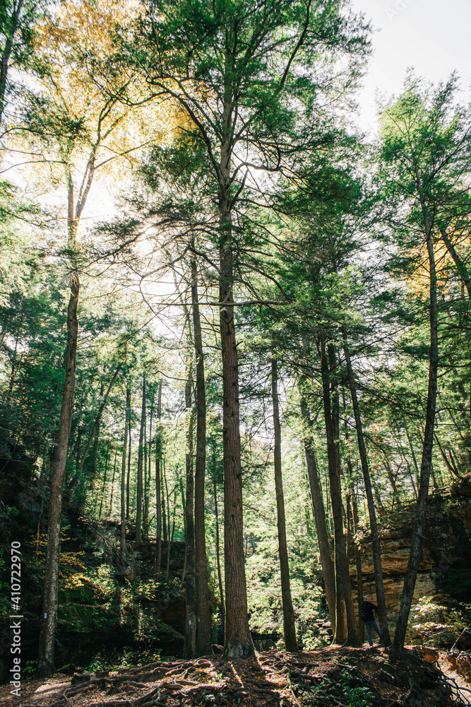 Fototapeta premium Hocking Hills State Park