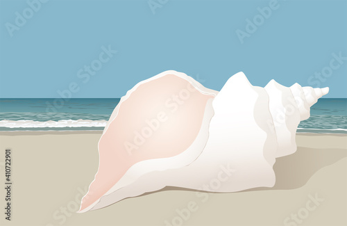 A bright white conch sea shell sitting on the beach
