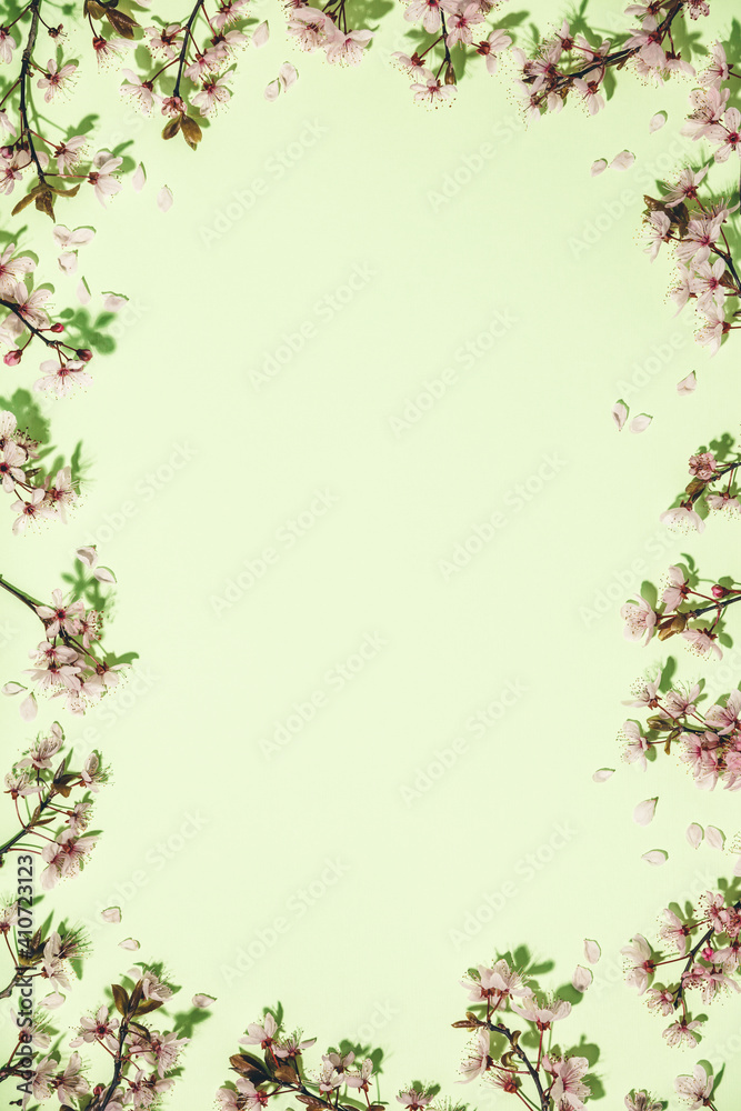 Fototapeta premium Spring border with cherry blossoms on green pastel background