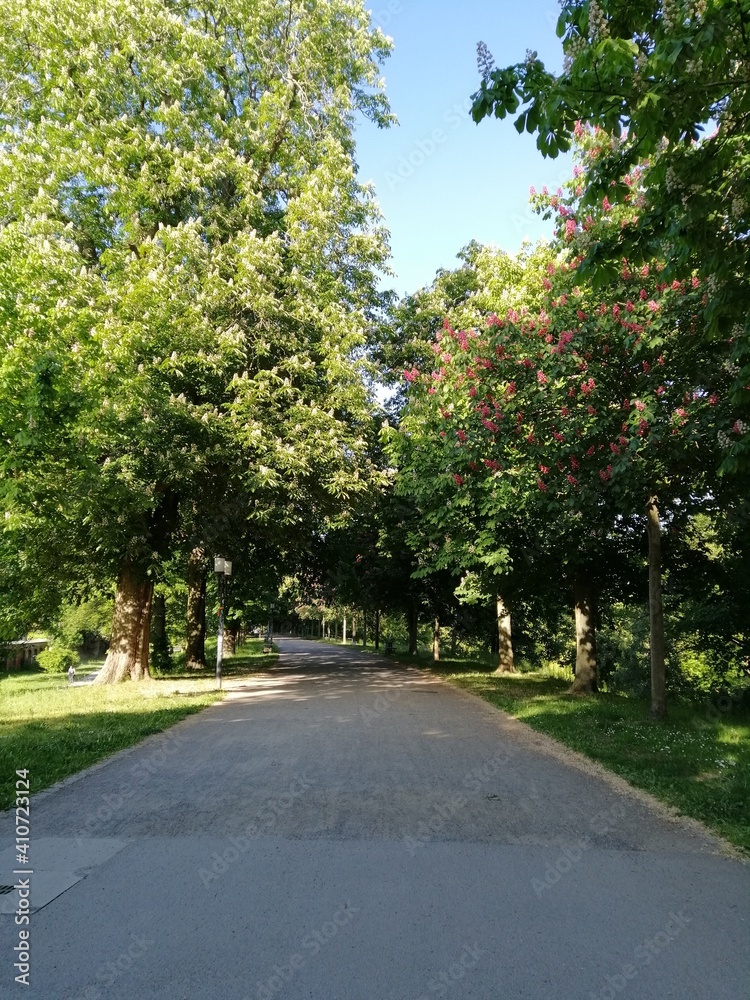 National Park of the Greifswald. Germany. Unesco. National Park of the Greifswald. Germany. Unesco.