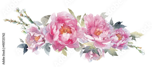 Flower pink peonies, green leaves. Watercolor floral clipart in white background