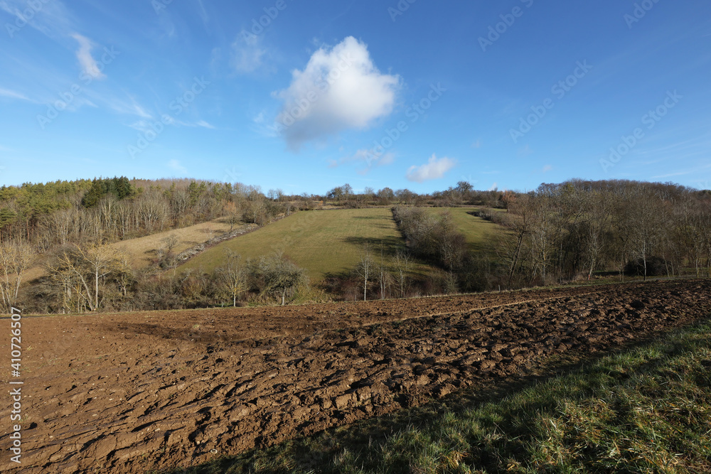 Spring landscape with arable land and meadows