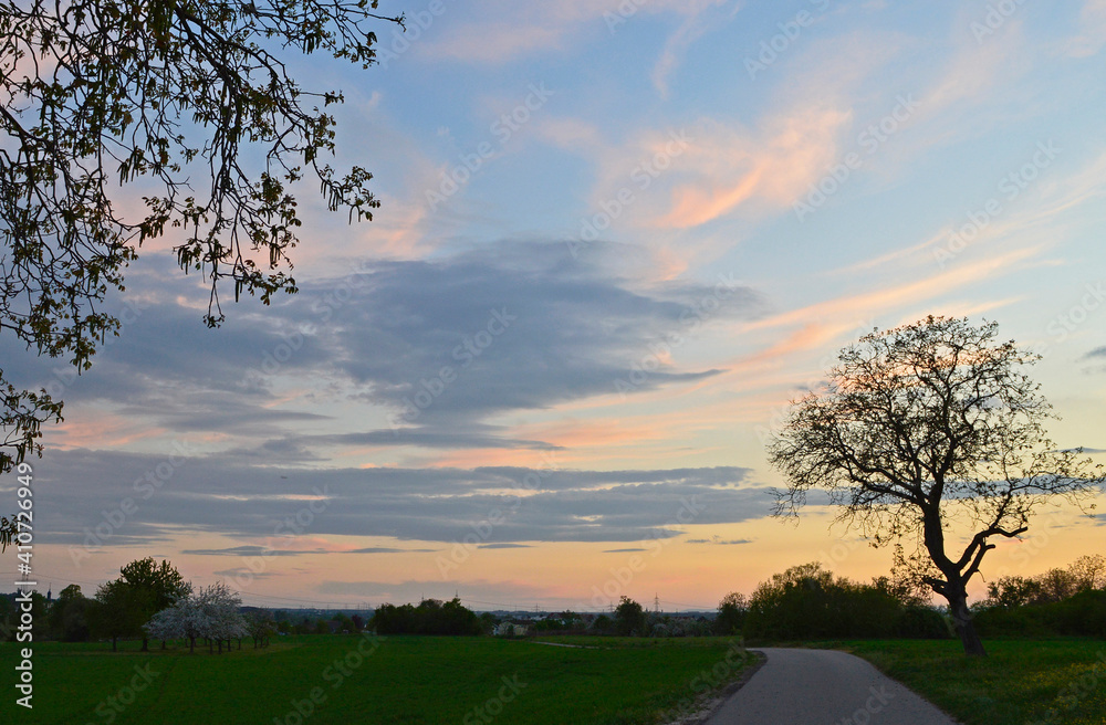 Fototapeta premium sunset in the countryside