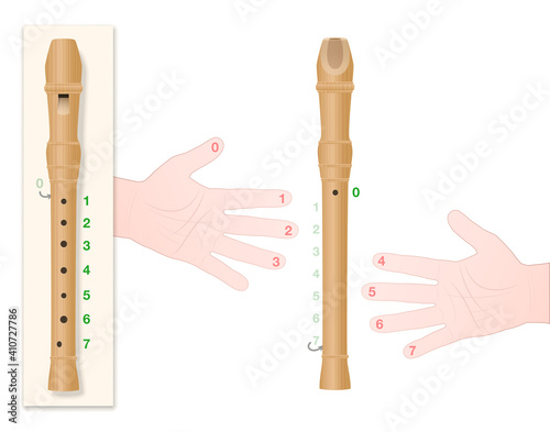 Recorder with correct hand position, numbered fingers and corresponding holes of the instrument to learn to play this music properly. Vector on white.
