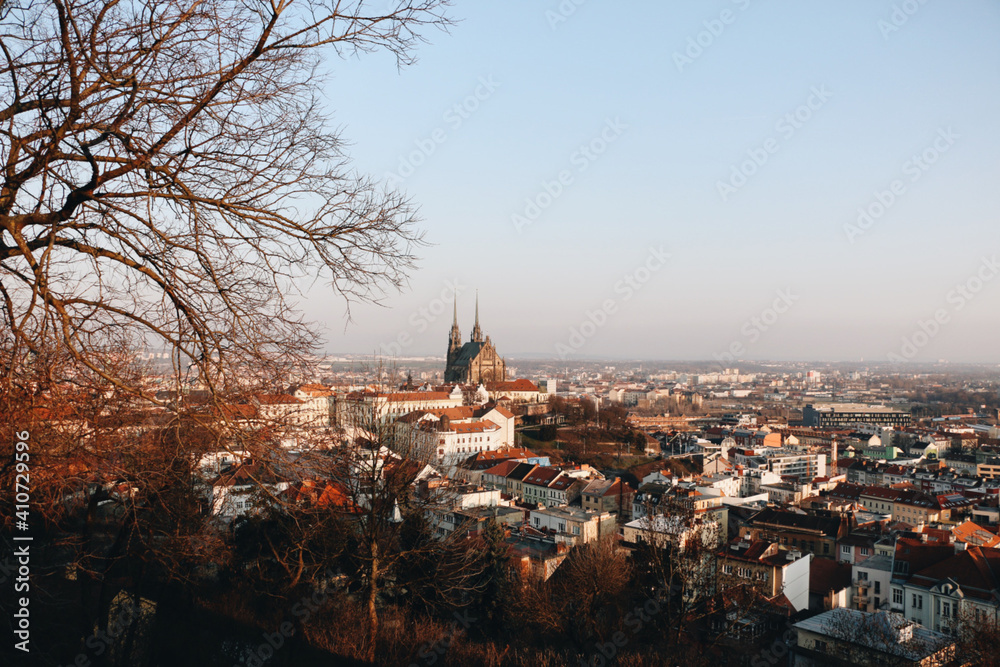The city of Brno and in the middle the Cathedral of St. Peter and Paul.