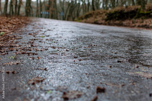 Wet road in the forest on rainy day with leaves on the ground