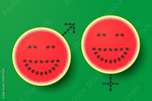 Male and female gender symbols made from watermelons and seeds