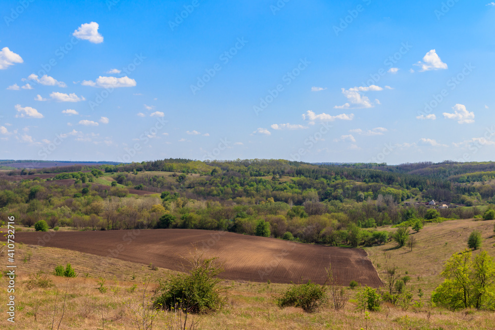 Spring landscape with green trees, meadows, fields and blue sky