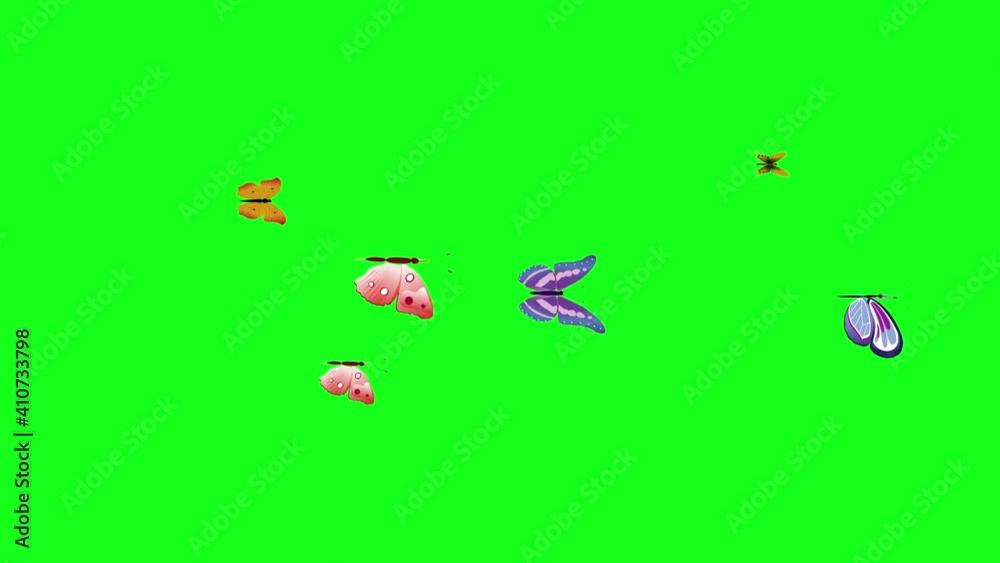 Group of butterflies fly on green screen chroma key, graphic source element, loop animation Group of butterflies fly on green screen chroma key, graphic source element, loop animation