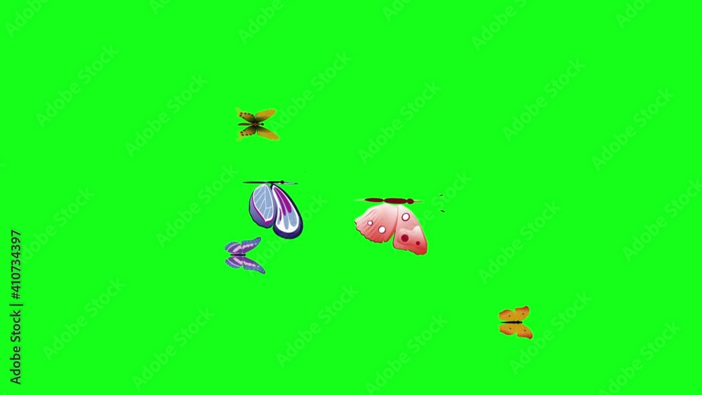 Group of butterflies fly on green screen chroma key, graphic source element, loop animation Group of butterflies fly on green screen chroma key, graphic source element, loop animation