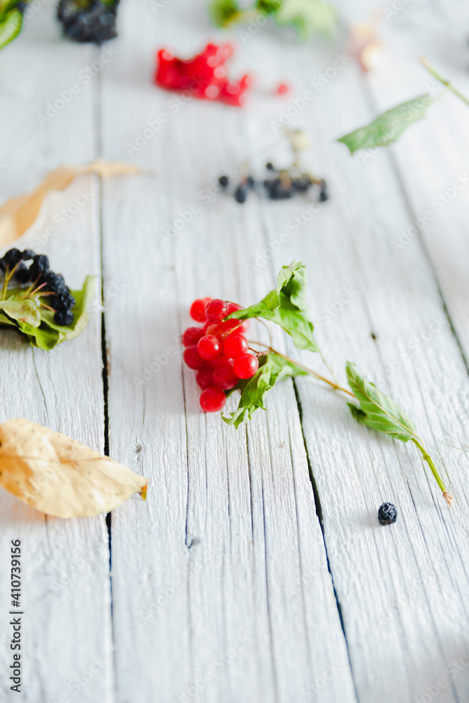 Fototapeta premium Ripe viburnum berries on a white old wooden background