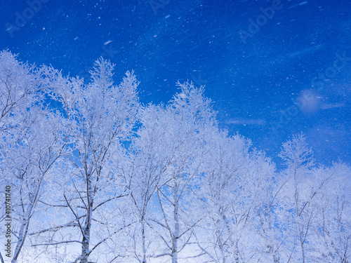 霧氷と青空  © makieni
