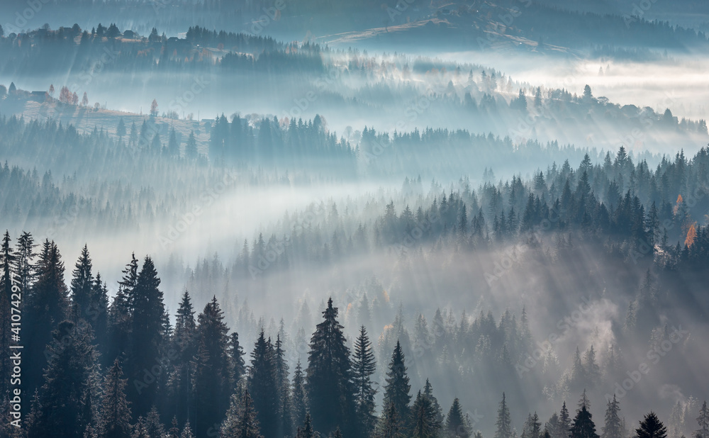 The air. Light and shadows in mist. First rays of sun through fog and trees on slopes. Morning autumn Carpathian Mountains landscape (Ivano-Frankivsk oblast, Ukraine).