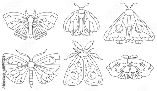 Hand drawn moth collection. Boho elements with butterflies for decoration. Mystery symbols