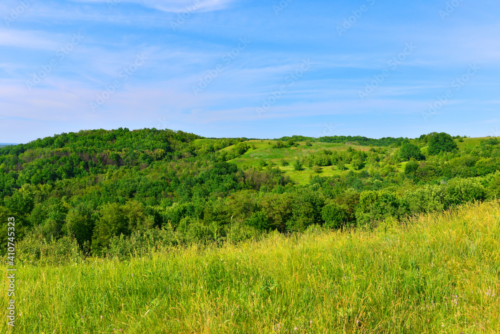 Beautiful nature. Summer landscape with steppe, trees, blooming wild grass and blue sky