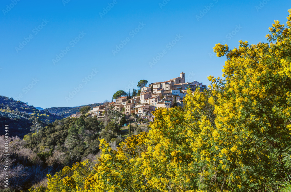View of the village Bormes-les-Mimosas. Mimosa trees in bloom in the foreground.