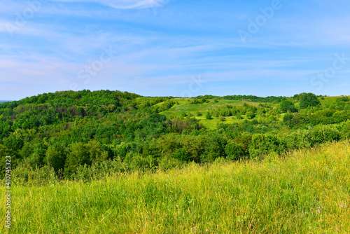Beautiful nature. Summer landscape with steppe  trees  blooming wild grass and blue sky