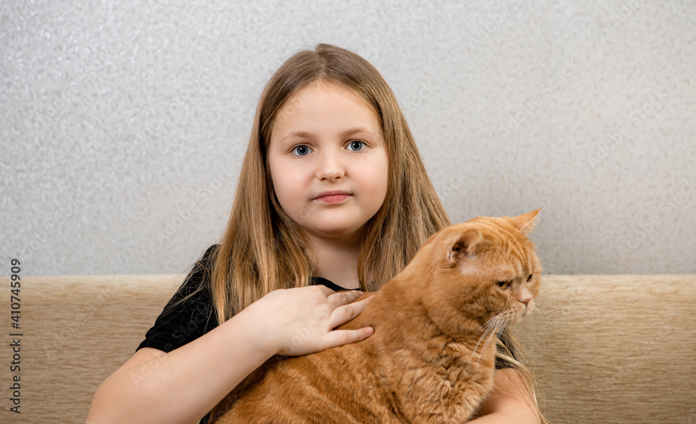 Attractive little girl with red fluffy cat on sofa in room Attractive little girl with red fluffy cat on sofa in room