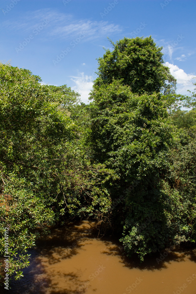 Obraz premium Muddy river called Sao Lourenco and it's natural tropical vegetation