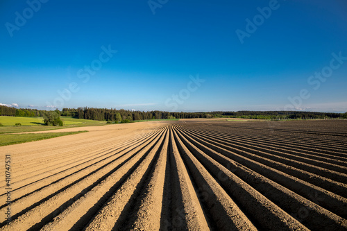 organic food and renewable energy, landscape with potato fields, new and fresh prepared potato fields in a spring landscape with cloudless sky